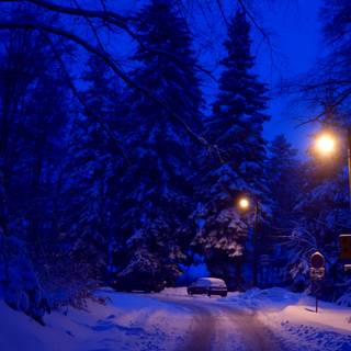 Winter 1280x1024 wallpaper