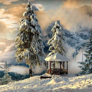 Winter 1280x1024 wallpaper