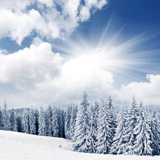 Winter 1280x1024 wallpaper