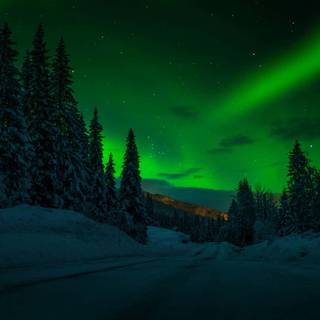 Winter 1280x1024 wallpaper