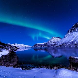 Winter 1280x1024 wallpaper