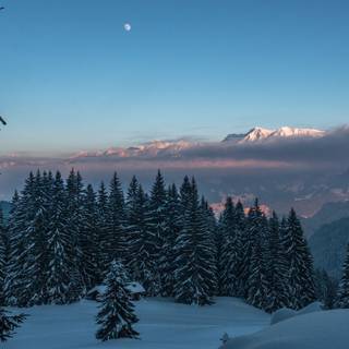 Winter 1280x1024 wallpaper