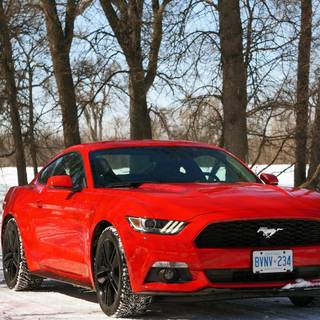 Winter Mustang wallpaper