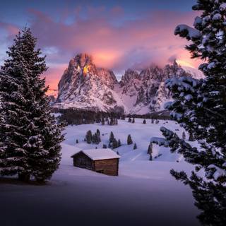 Winter 1280x1024 wallpaper