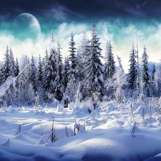 Winter 1280x1024 wallpaper
