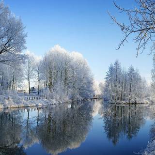 Winter 1280x1024 wallpaper