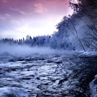 Winter 1280x1024 wallpaper