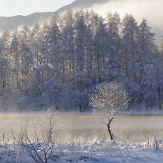 Winter 1280x1024 wallpaper