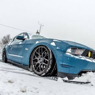 Winter Mustang wallpaper