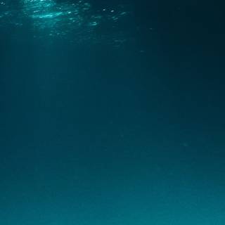 Underwater phone wallpaper