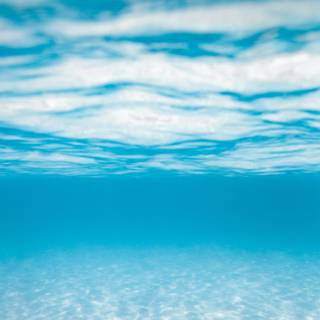 Underwater phone wallpaper