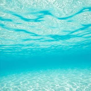 Underwater phone wallpaper