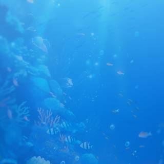 Underwater phone wallpaper