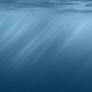 Underwater phone wallpaper