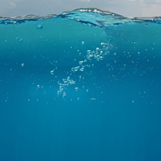 Underwater phone wallpaper