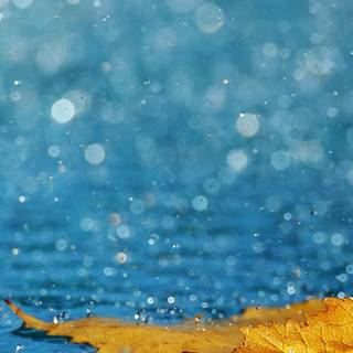 Rainy iPhone wallpaper