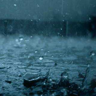 Rainy iPhone wallpaper