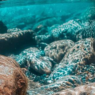 Underwater phone wallpaper