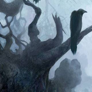 Raven iPhone wallpaper