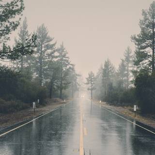 Rainy iPhone wallpaper