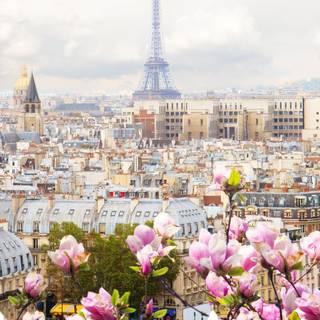 France iPhone wallpaper