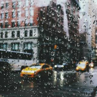 Rainy iPhone wallpaper