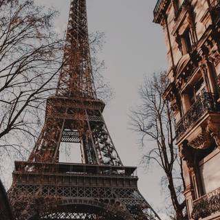 France iPhone wallpaper