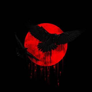 Raven iPhone wallpaper