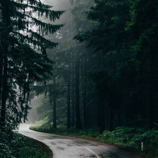 Rainy iPhone wallpaper