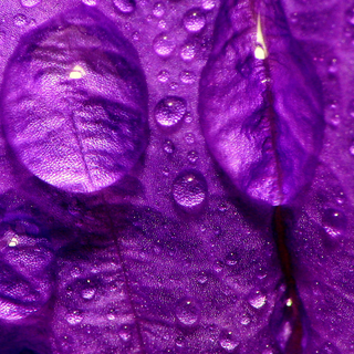 Rainy iPhone wallpaper