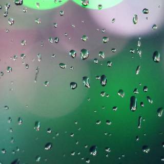 Rainy iPhone wallpaper