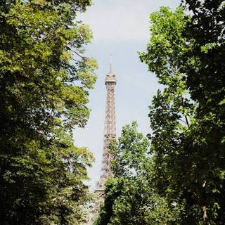 France iPhone wallpaper