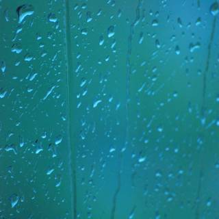 Rainy iPhone wallpaper