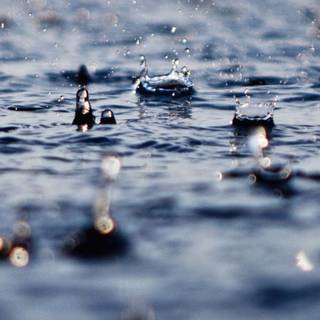 Rainy iPhone wallpaper