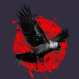 Raven iPhone wallpaper