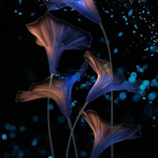 Magic phone wallpaper