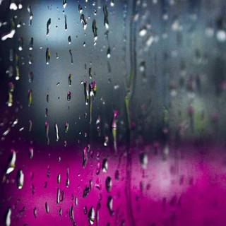 Rainy iPhone wallpaper