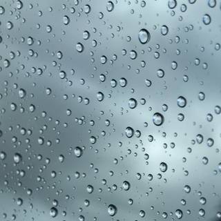 Rainy iPhone wallpaper