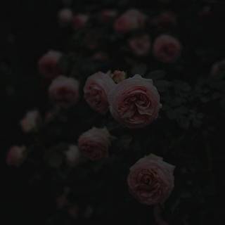 Sad aesthetic phone wallpaper