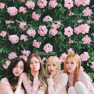 Blackpink Rose iPhone wallpaper