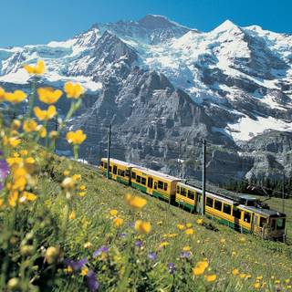 Jungfraujoch wallpaper
