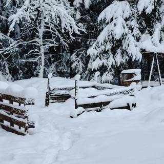 Winter yard wallpaper