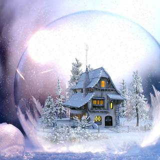 Winter yard wallpaper