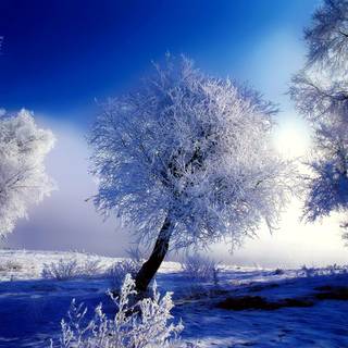 1280x1024 winter wallpaper