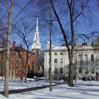 Harvard University cute wallpaper