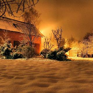 Winter yard wallpaper