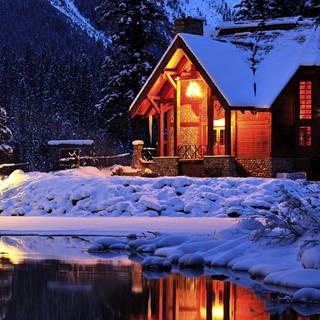 Winter yard wallpaper