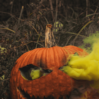 Halloween iPhone 11 Pro wallpaper