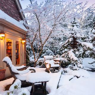 Winter yard wallpaper