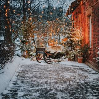 Winter yard wallpaper